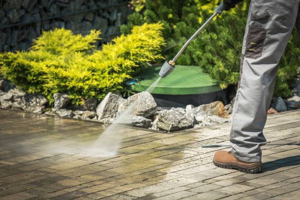 Best Gutter Cleaning  in Coldwater, OH