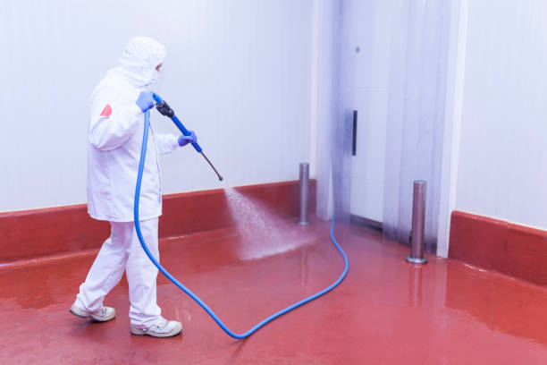 Best Solar Panel Cleaning  in Coldwater, OH